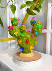 Small Prickly Pear Ceramic Cactus Light - Green