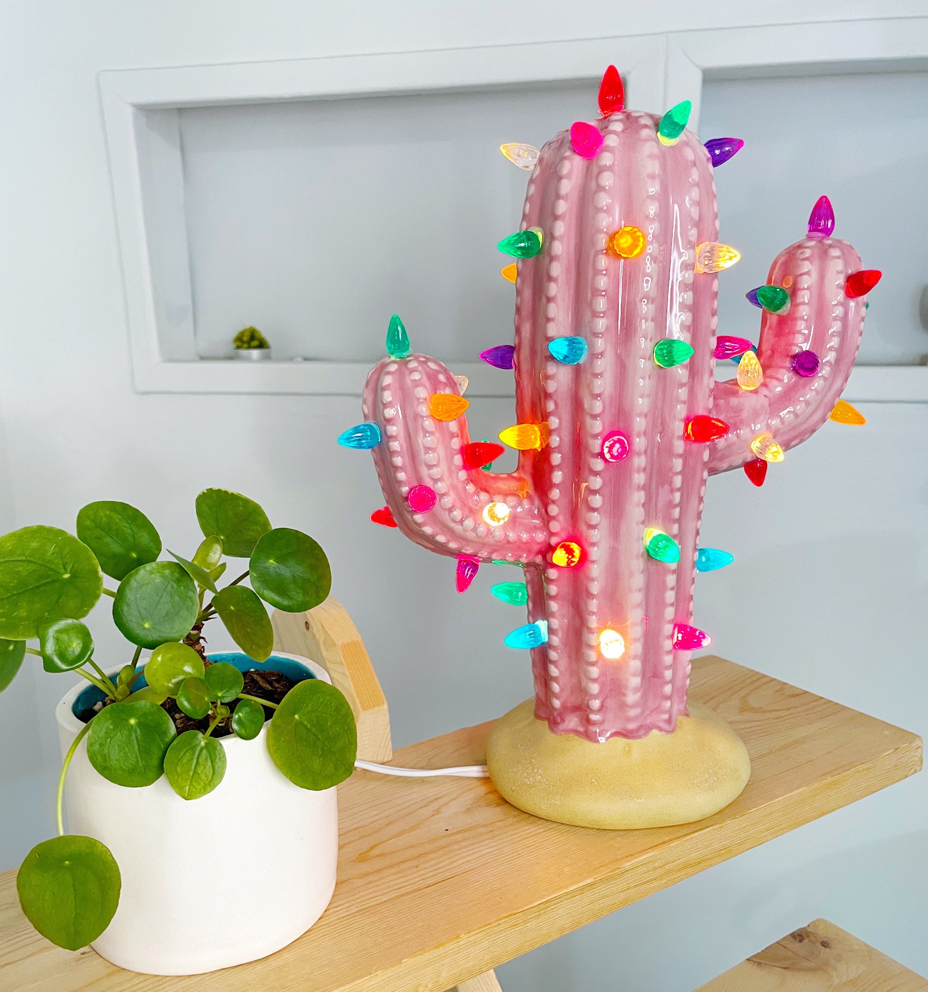 Why Cactus – Brush Strokes Pottery
